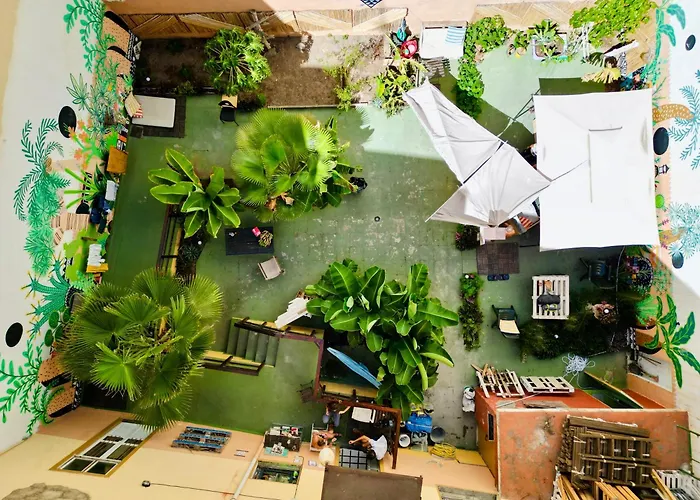 Albergue Jungle House Las Palmas de Gran Canaria