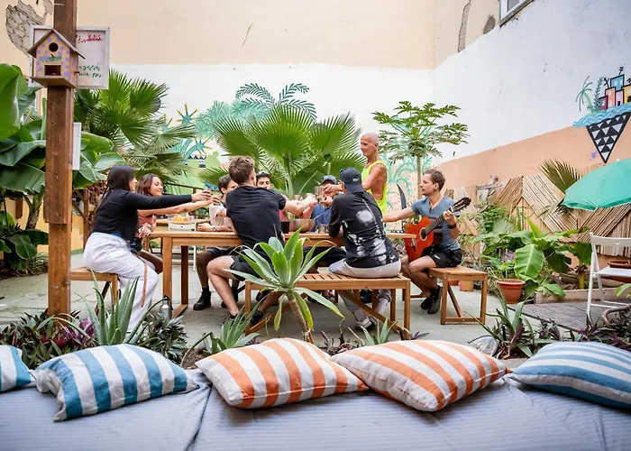 Albergue Jungle House Las Palmas de Gran Canaria